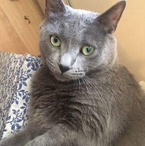 Please make an offer.